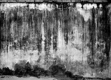 《GTA6》大量新截图泄露：画面逼真 风光优美